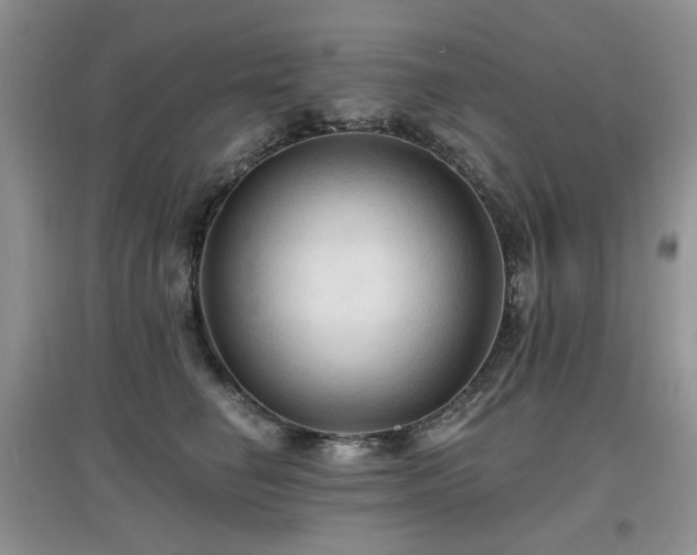 X0000097910662200803141420