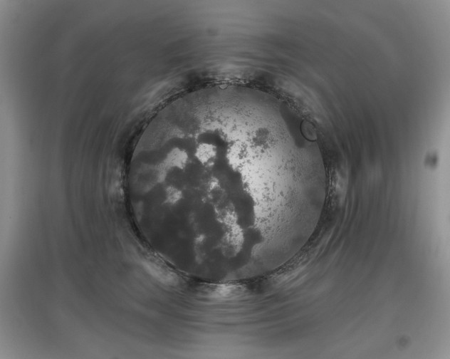 X0000097910663200803141420