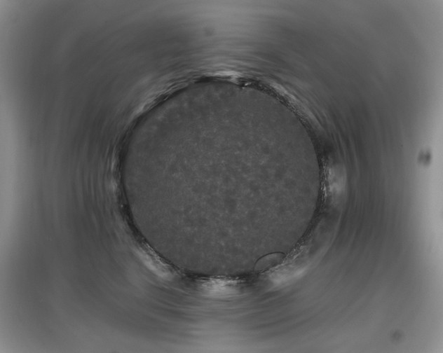 X0000097910664200803141420