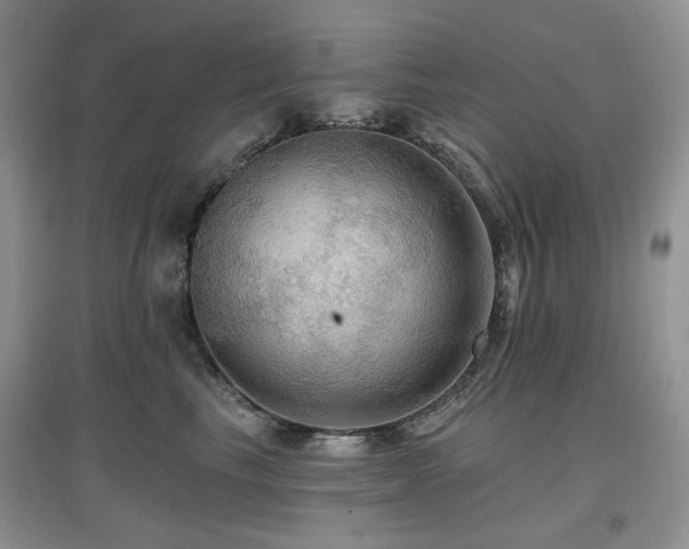 X0000097910665200803141420