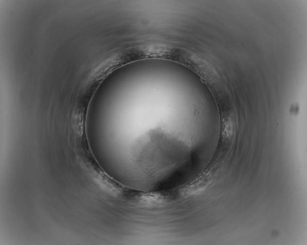 X0000097910666200803141420