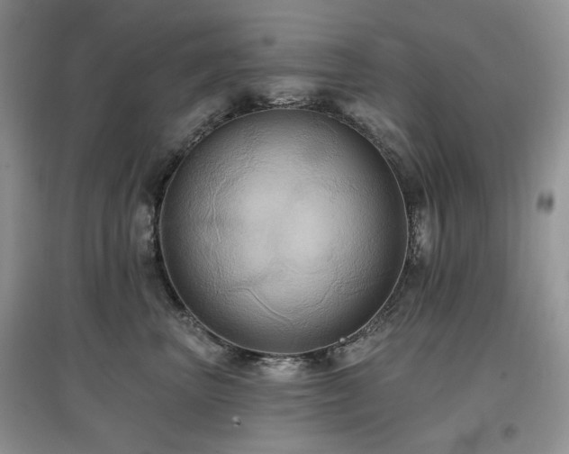 X0000097910667200803141420