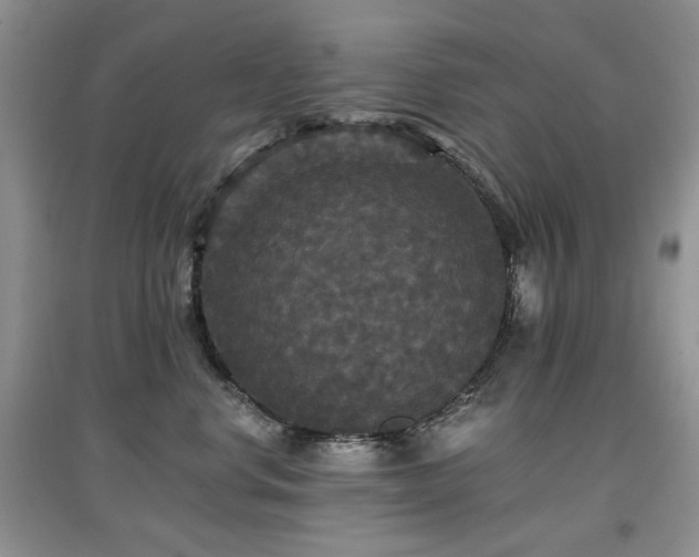 X0000097910668200803141420