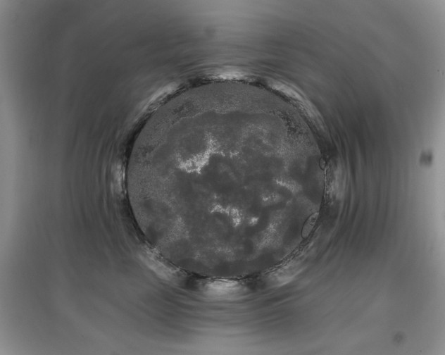 X0000097910669200803141420