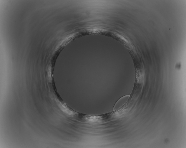 X0000097910670200803141420