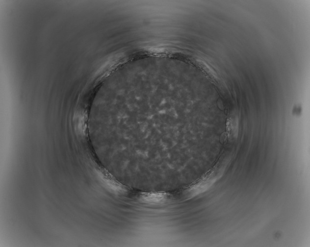 X0000097910671200803141420