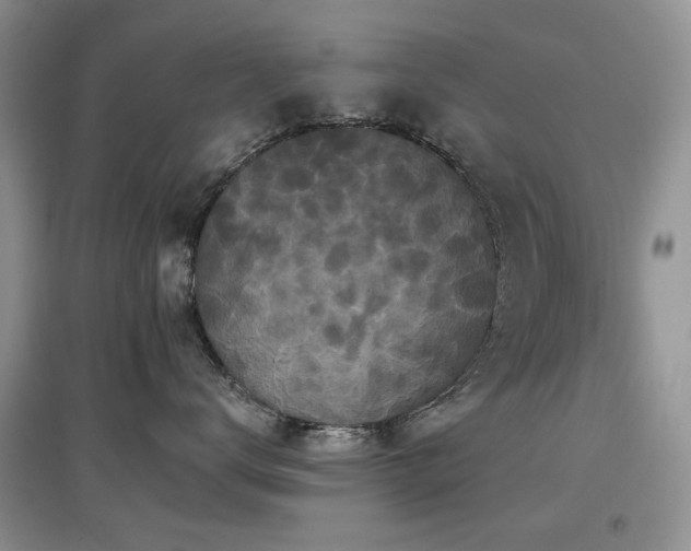 X0000097910672200803141420