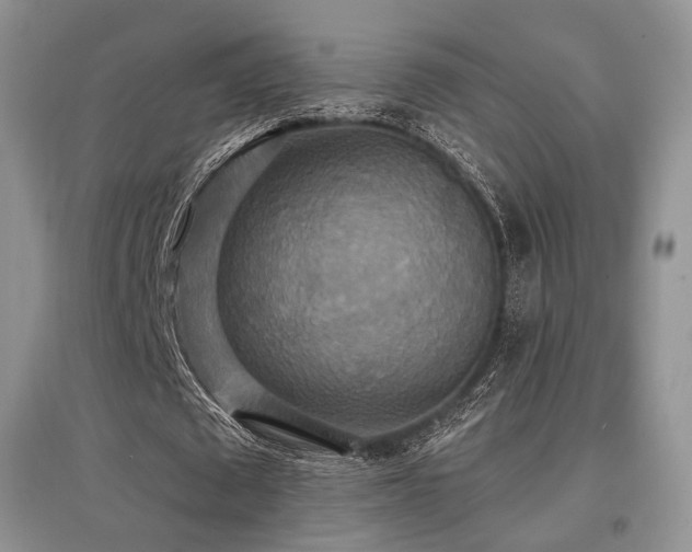 X0000097910673200803141419