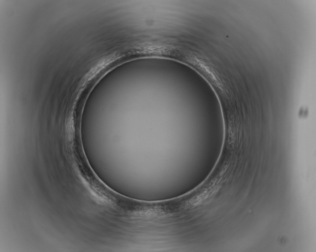 X0000097910674200803141419