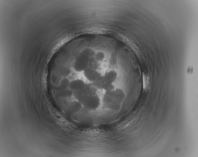 X0000097910675200803141419