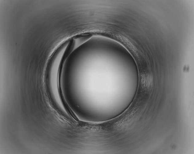 X0000097910676200803141419