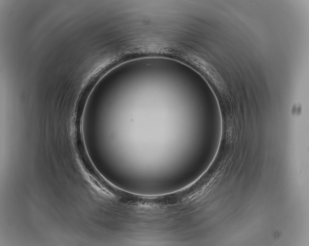 X0000097910677200803141419