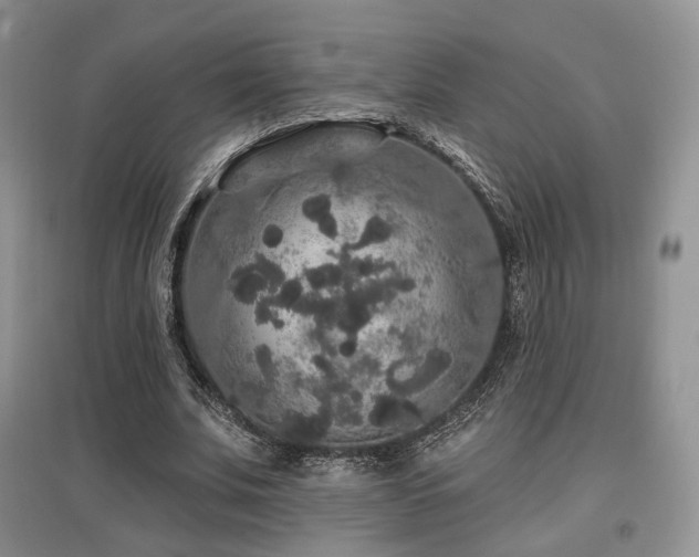 X0000097910679200803141419