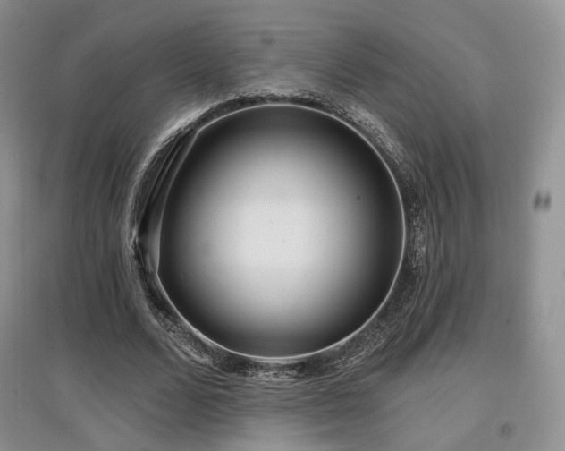 X0000097910680200803141419