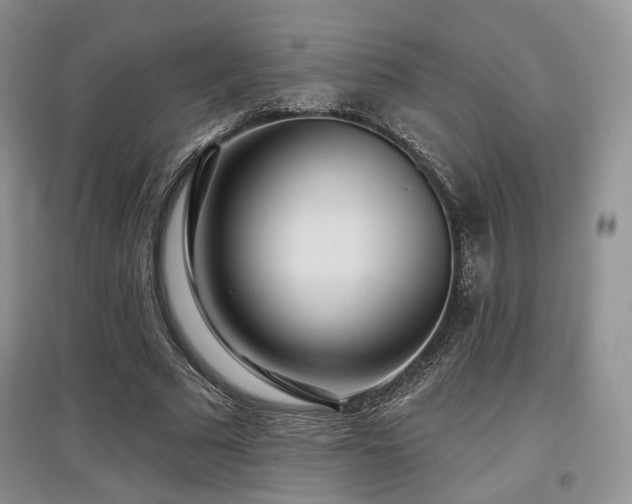 X0000097910681200803141419