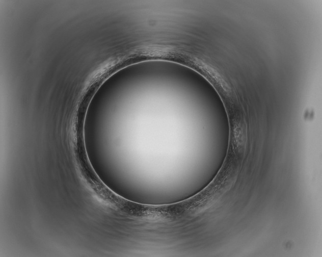 X0000097910682200803141419