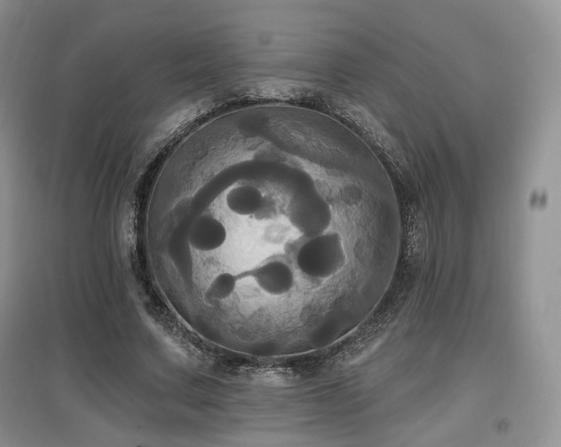 X0000097910683200803141419