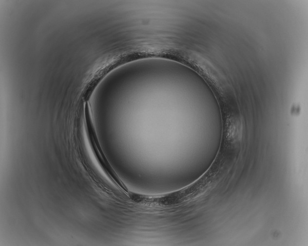 X0000097910685200803141419