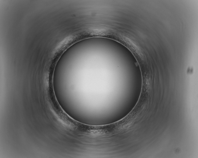 X0000097910686200803141419