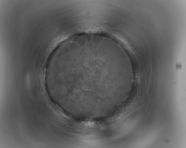 X0000097910687200803141419