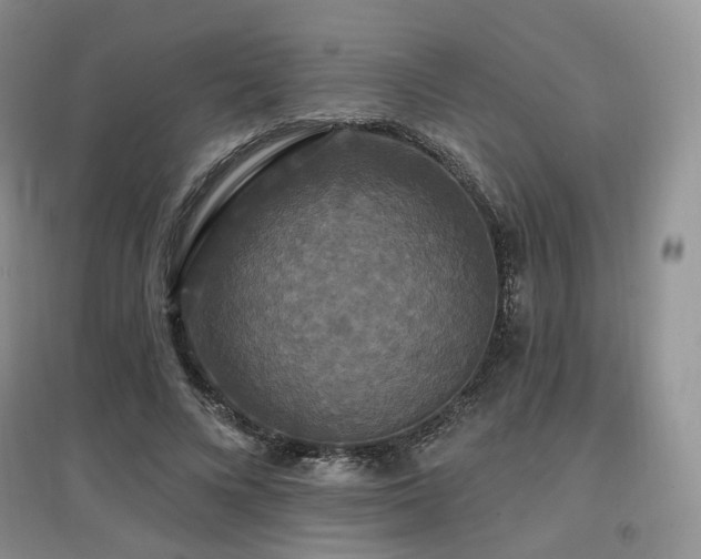 X0000097910688200803141419