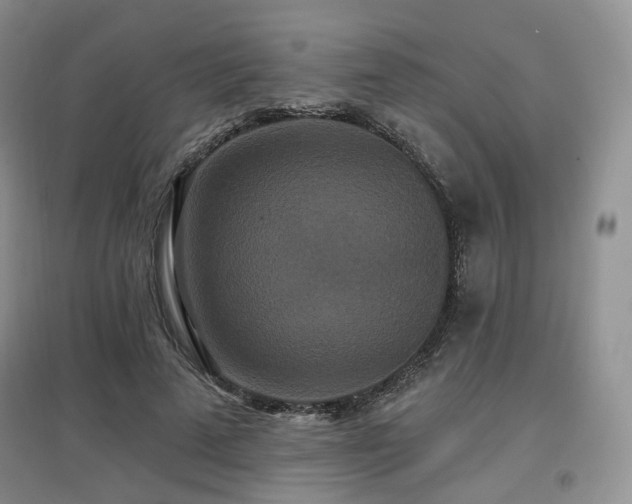 X0000097910689200803141419