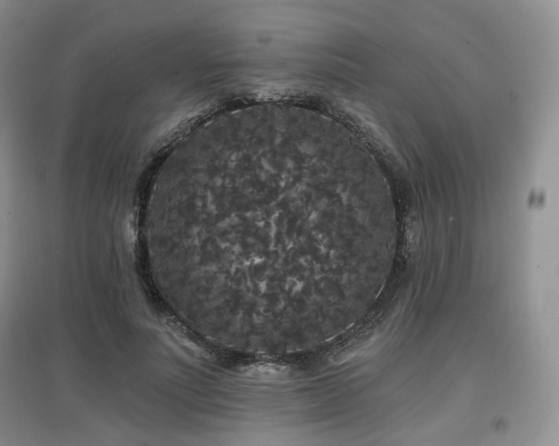 X0000097910691200803141419