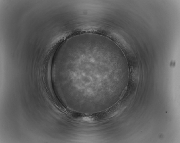 X0000097910692200803141419