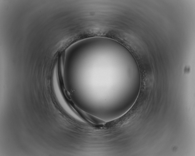 X0000097910693200803141419