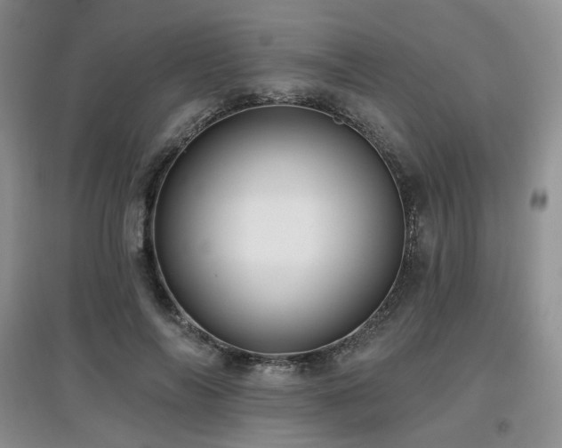 X0000097910694200803141419