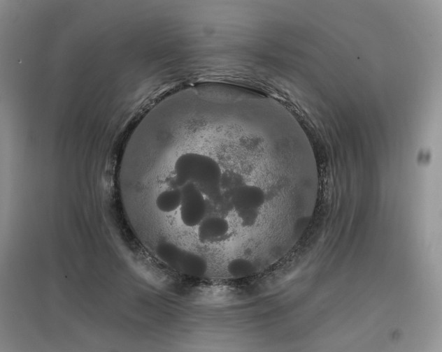 X0000097910695200803141419