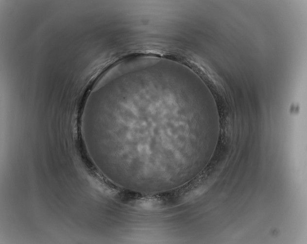 X0000097910696200803141419