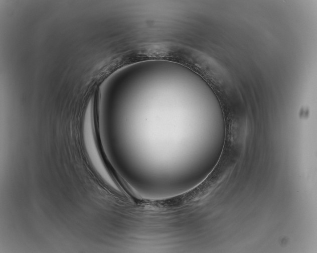 X0000097910697200803141419