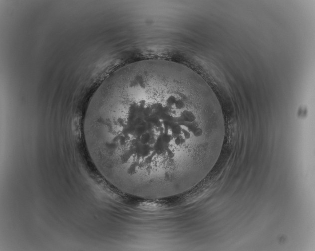 X0000097910699200803141419