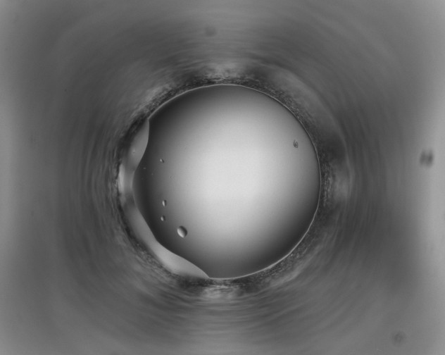 X0000097910700200803141419