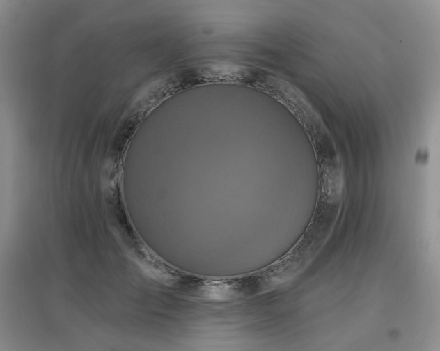 X0000097910701200803141419