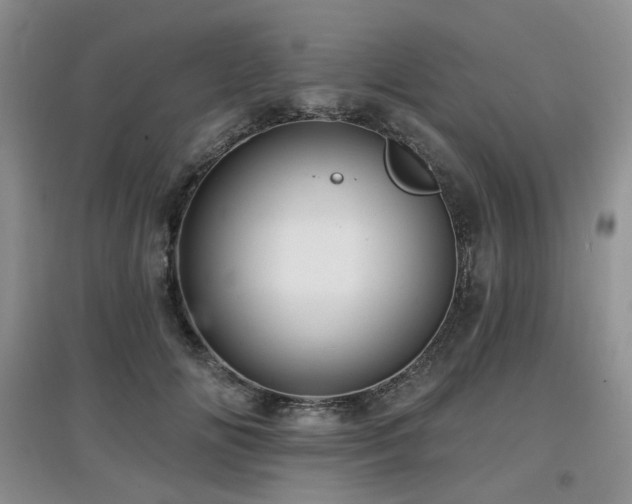 X0000097910702200803141419