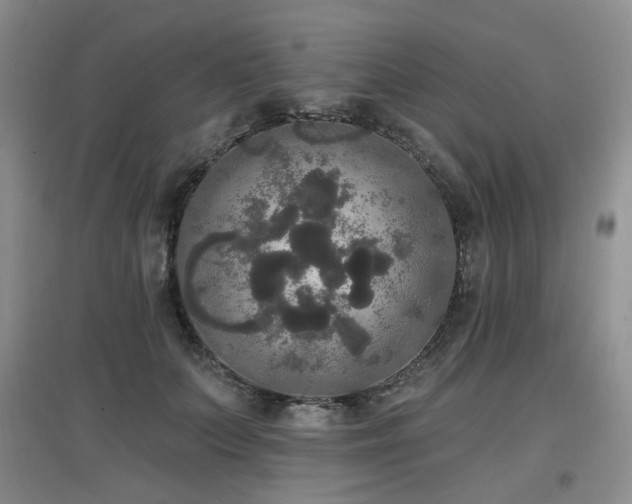 X0000097910703200803141419