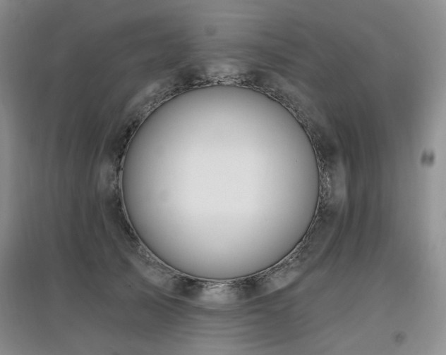 X0000097910705200803141419