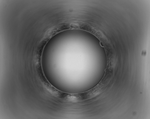 X0000097910706200803141419