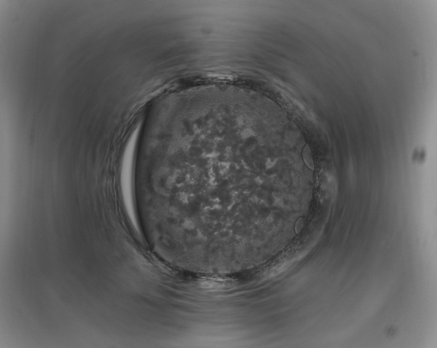 X0000097910707200803141419