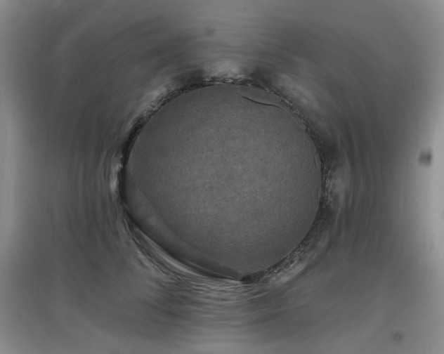 X0000097910708200803141419