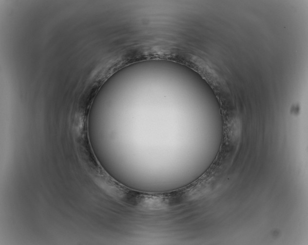 X0000097910709200803141419