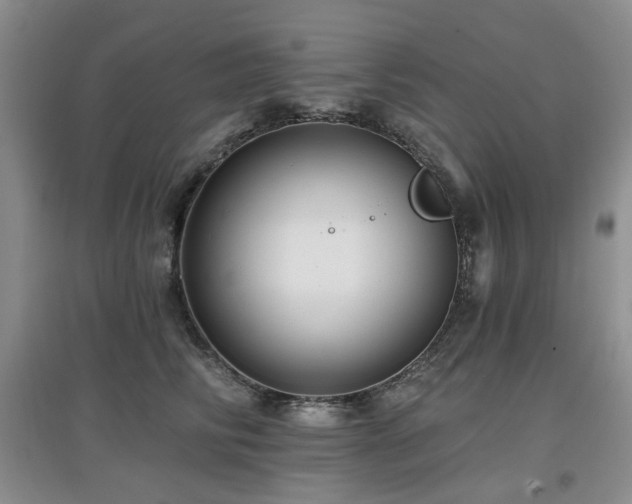 X0000097910710200803141419