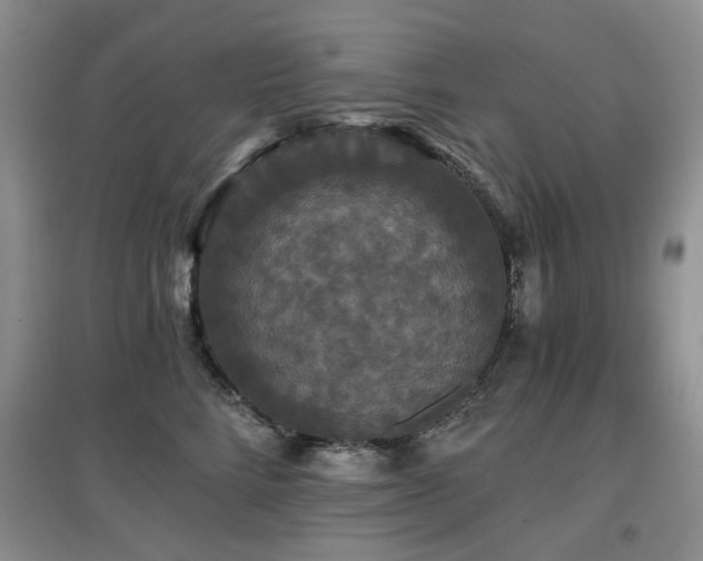 X0000097910712200803141418