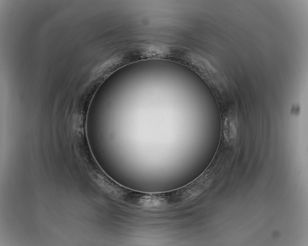 X0000097910714200803141418