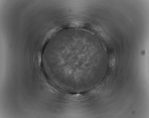 X0000097910716200803141418