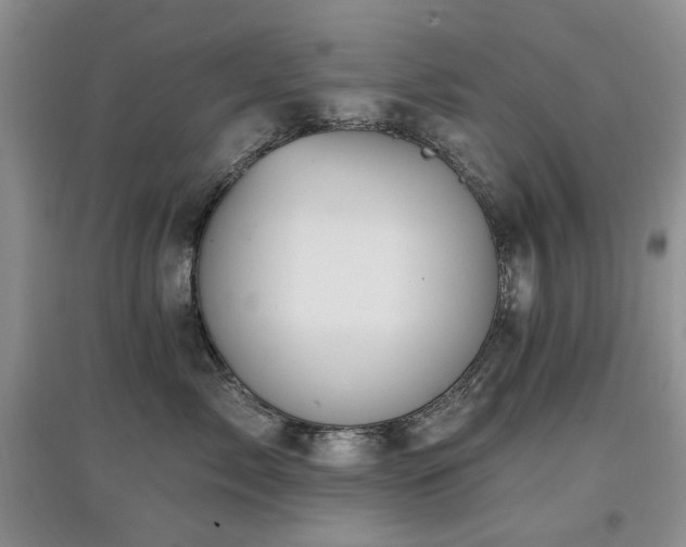 X0000097910717200803141418