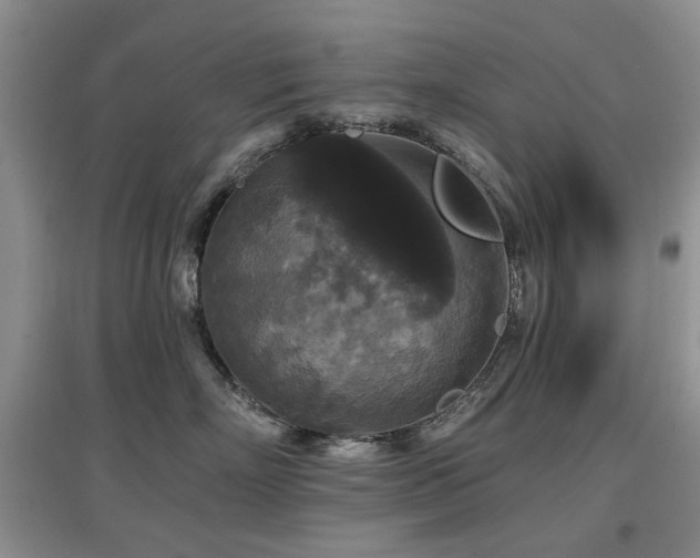 X0000097910718200803141418