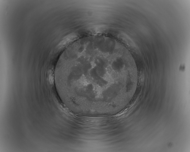 X0000097910719200803141418